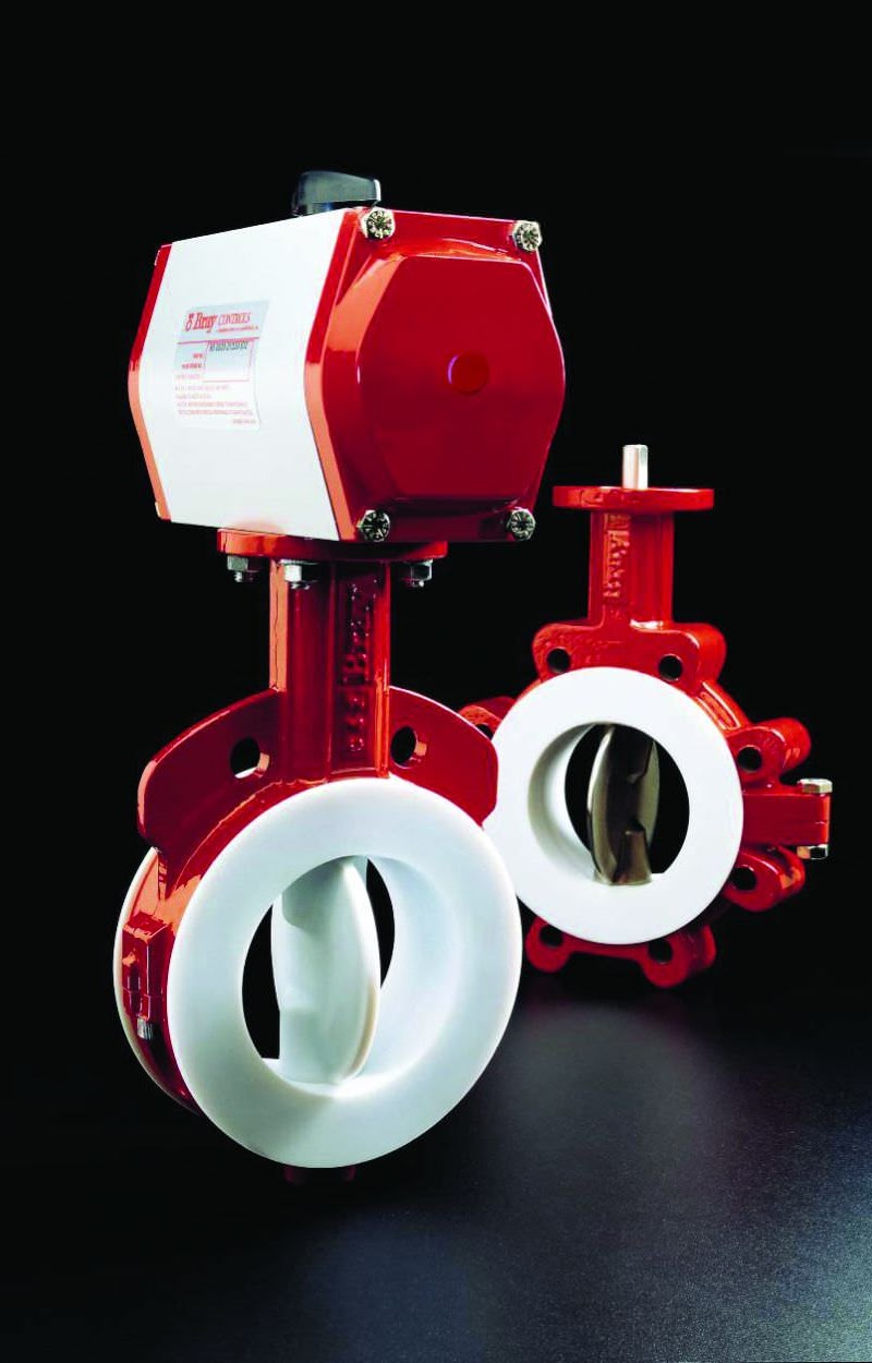 V&Aacute;LVULA DE MARIPOSA BRAY SERIE 22 / 23 01